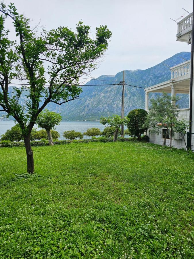 Apartments Popovic Κότορ Εξωτερικό φωτογραφία