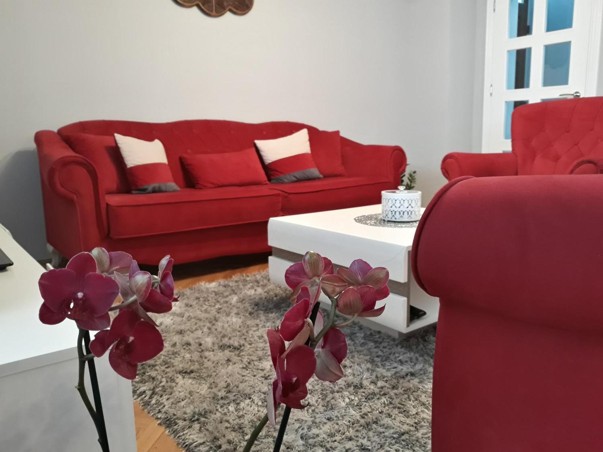 Apartments Popovic Κότορ Εξωτερικό φωτογραφία