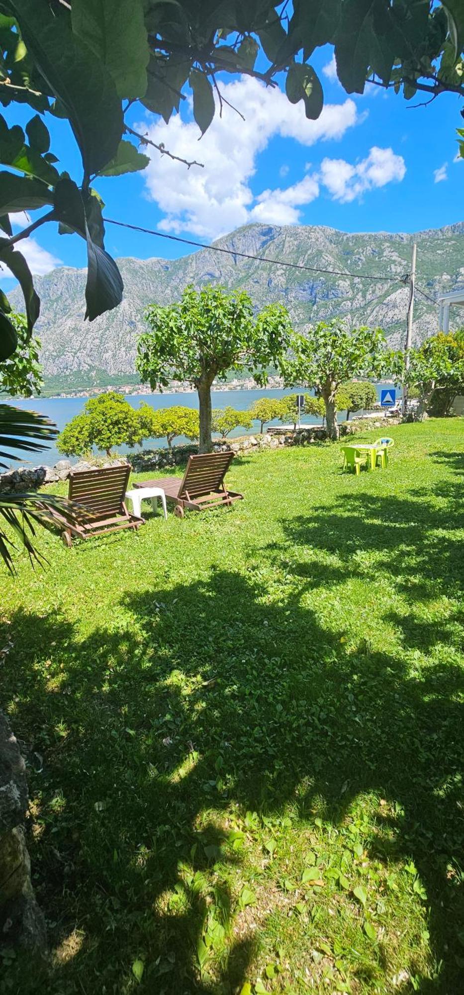 Apartments Popovic Κότορ Εξωτερικό φωτογραφία