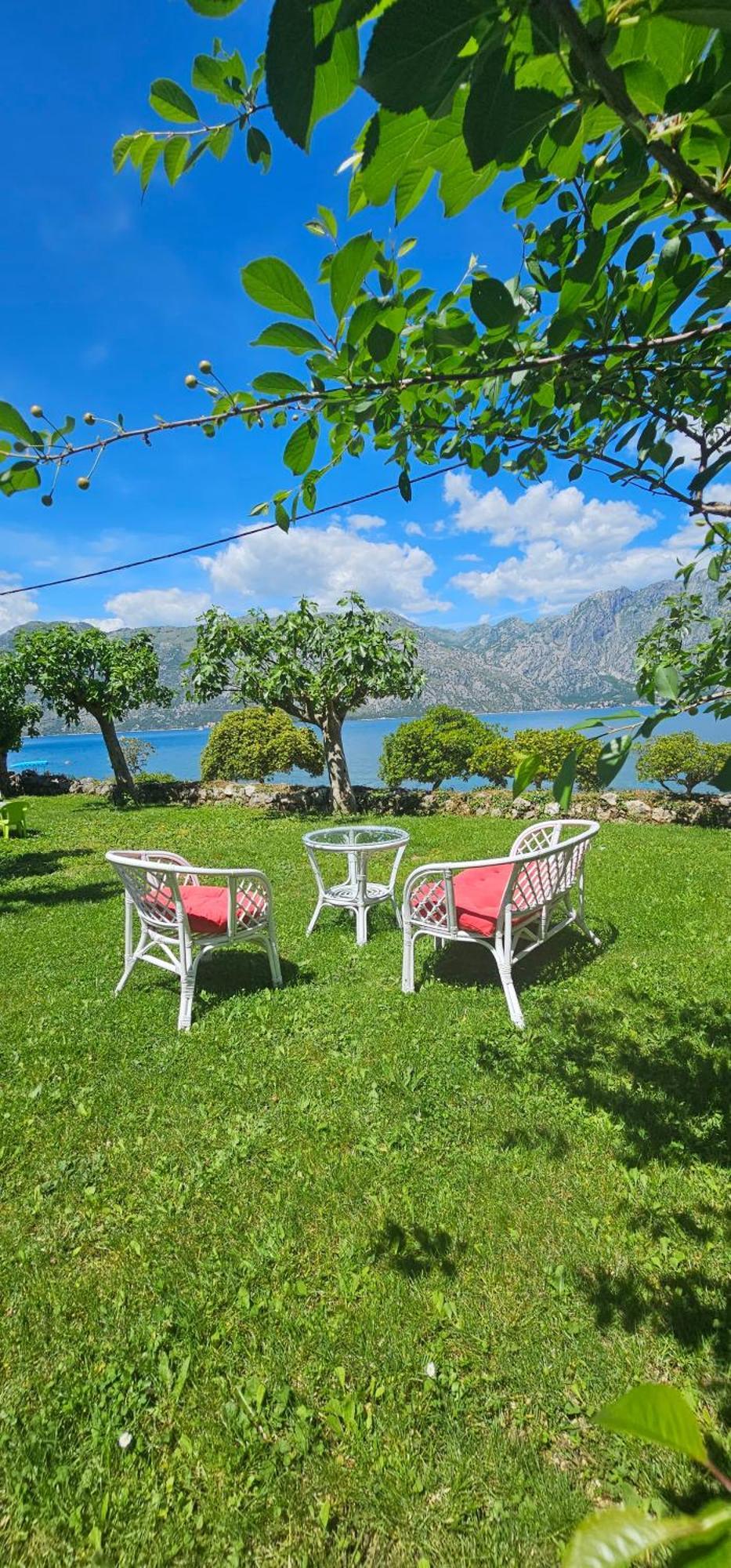Apartments Popovic Κότορ Εξωτερικό φωτογραφία