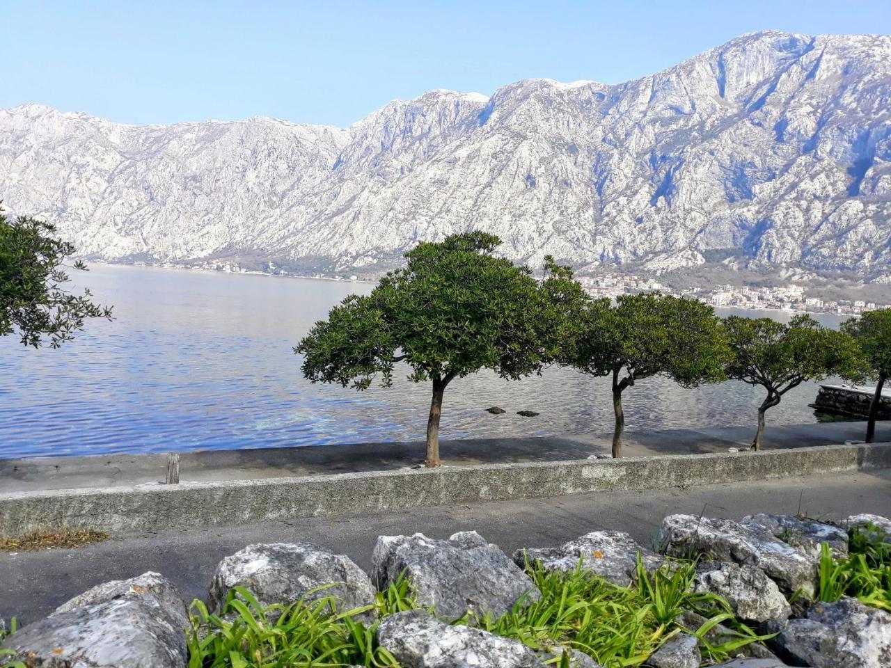 Apartments Popovic Κότορ Εξωτερικό φωτογραφία